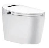 FGL-201  smart toilet